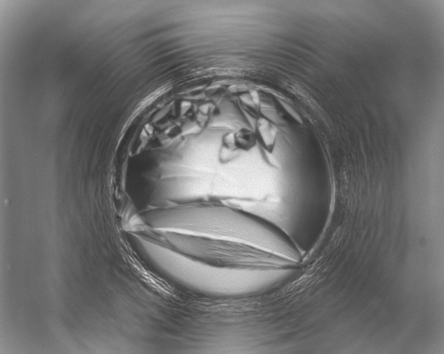 X0000053141026200508081339