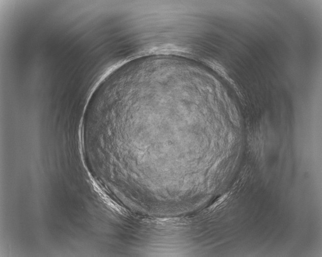 X0000053141032200508081339