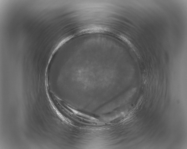 X0000053141034200508081339