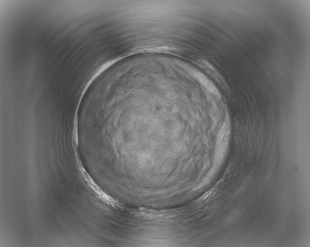 X0000053141036200508081339