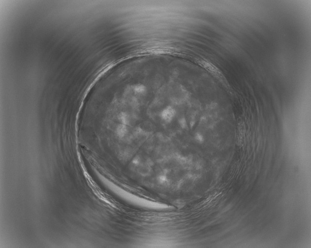 X0000053141039200508081339