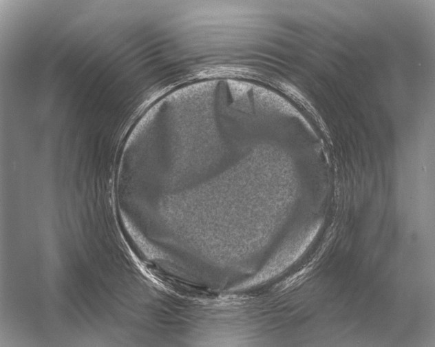 X0000053141041200508081339