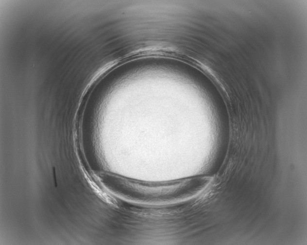 X0000053141042200508081339