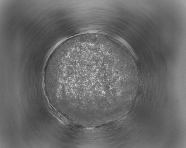 X0000053141051200508081339