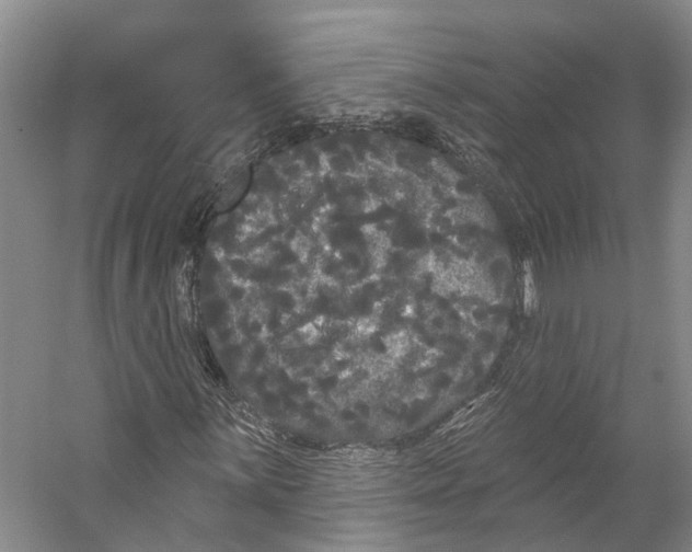 X0000053141059200508081338