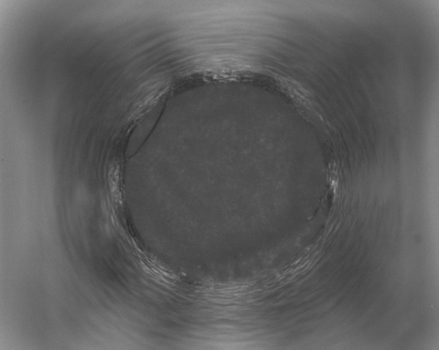 X0000053141060200508081338