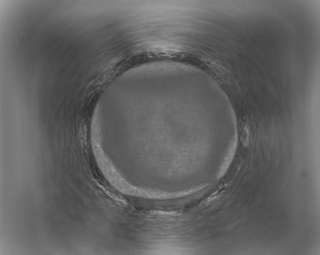 X0000053141061200508081338