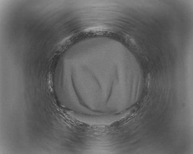 X0000053141062200508081338
