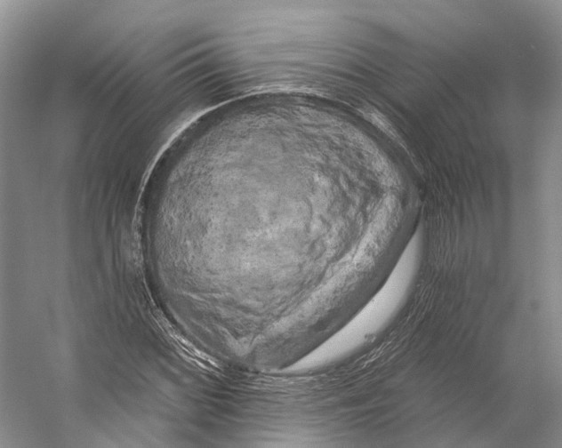 X0000053141068200508081338