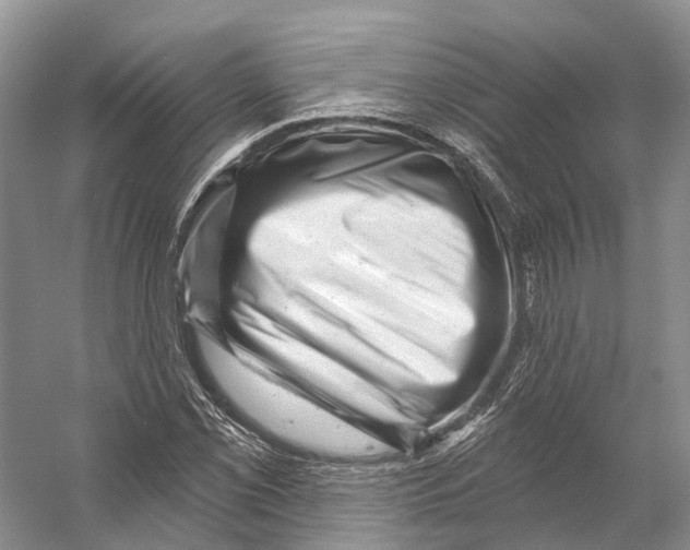 X0000053141069200508081338