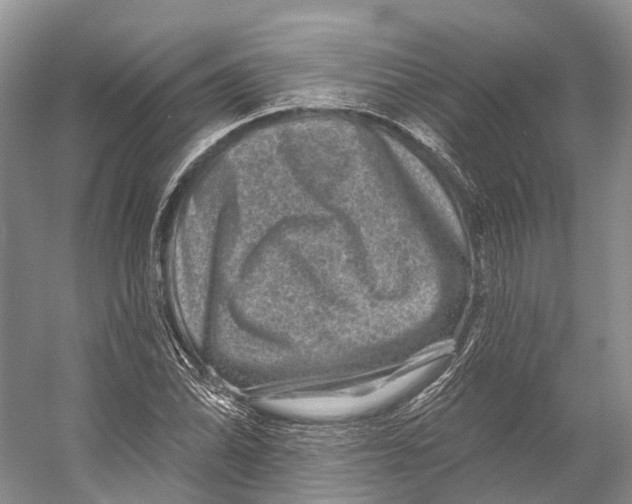 X0000053141070200508081338