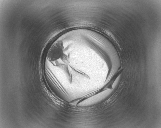 X0000053141072200508081338