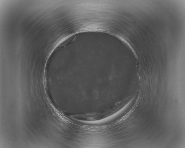X0000053141077200508081338