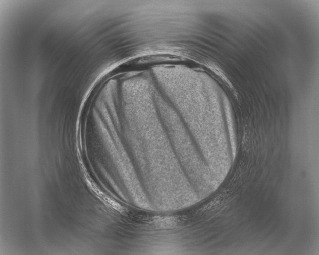 X0000053141080200508081338