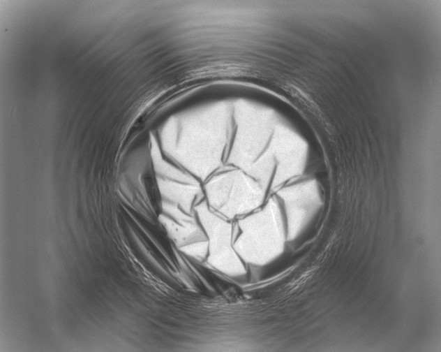 X0000053141081200508081338