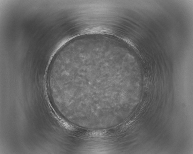 X0000053141086200508081338