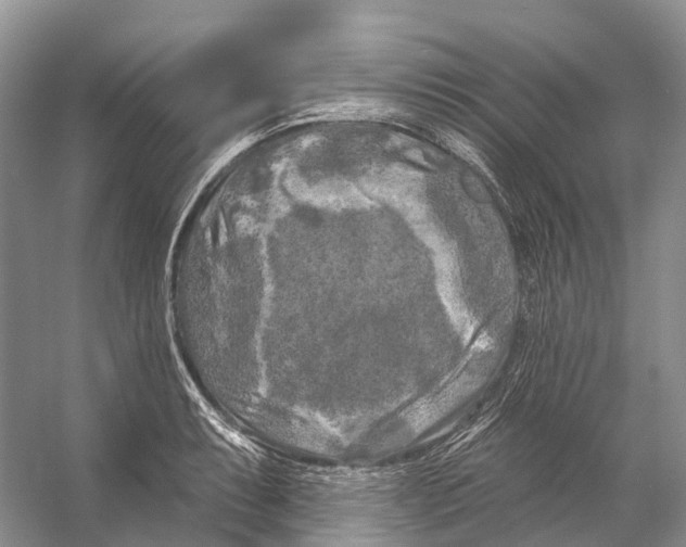 X0000053141087200508081338