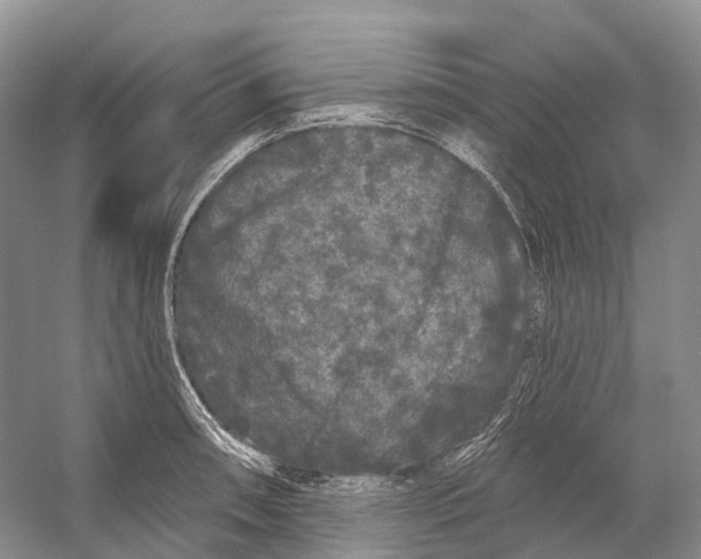 X0000053141090200508081338