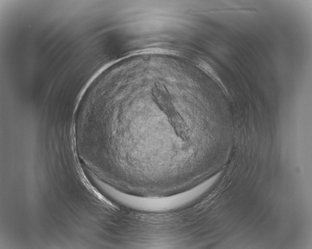 X0000053141092200508081338