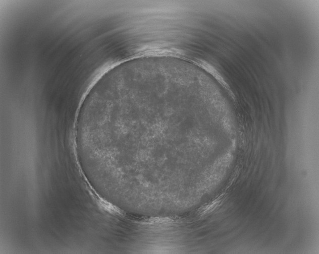 X0000053141094200508081338