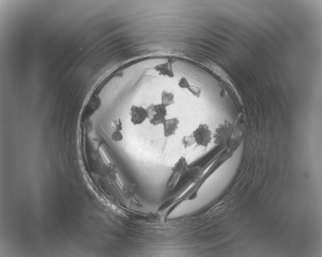 X0000053141096200508081338