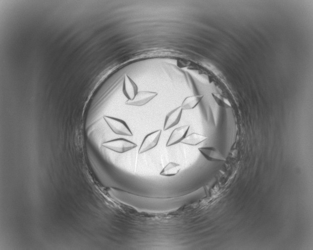 X0000053141097200508081338
