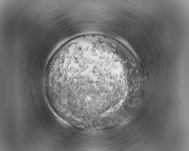X0000053141101200508081338
