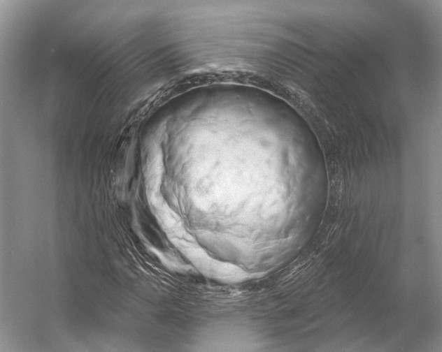 X0000053141110200508081337