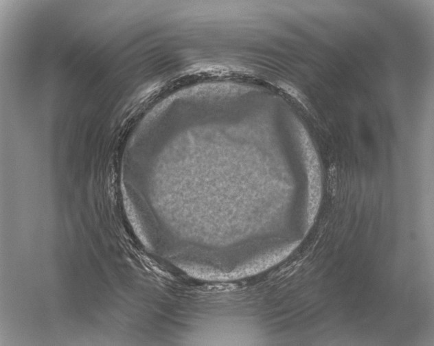X0000053141111200508081337
