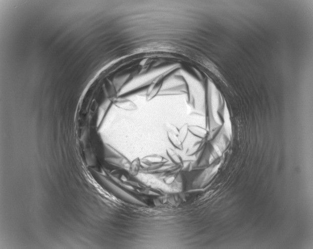 X0000053141116200508081337