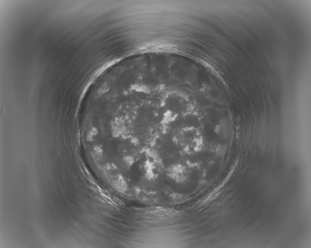 X0000053141117200508081337