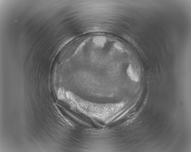 X0000053141121200508081337