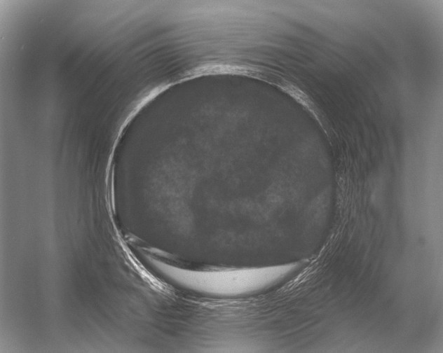 X0000053141127200508081337
