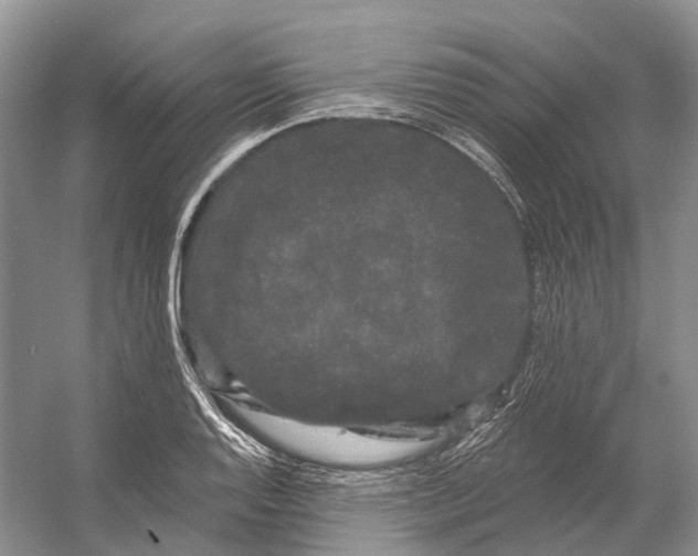 X0000053141128200508081337