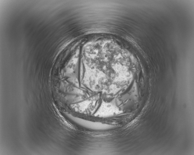 X0000053141129200508081337