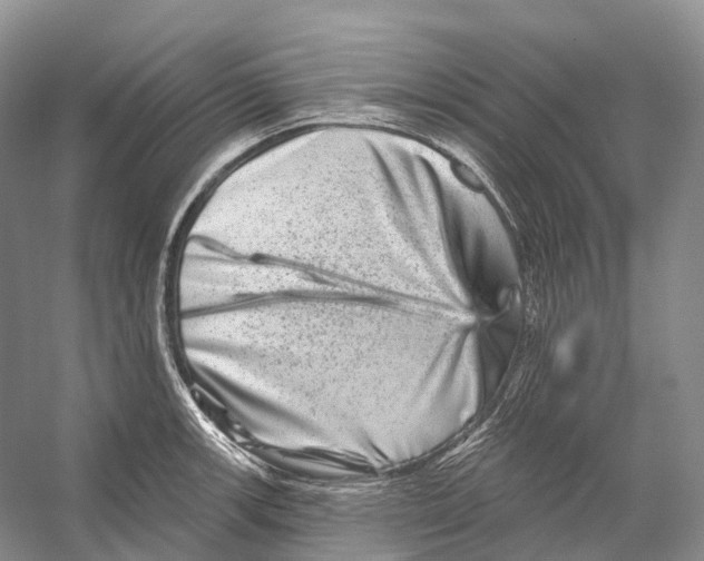 X0000053141139200508081337