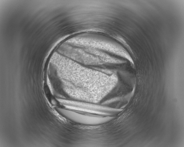 X0000053141140200508081337