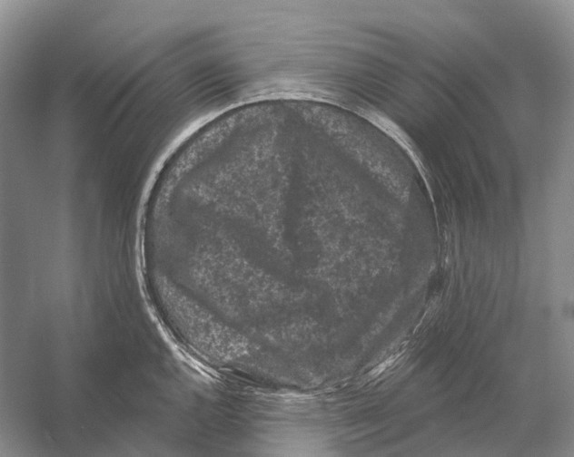 X0000053141144200508081337