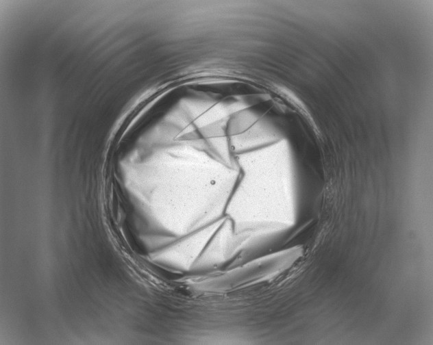 X0000053141146200508081337