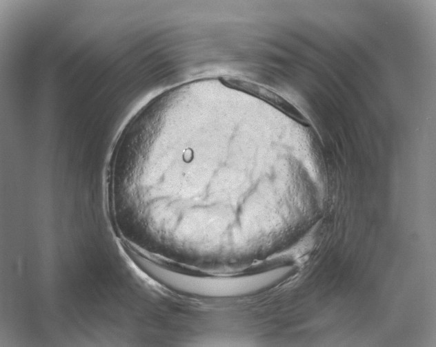 X0000053141151200508081338