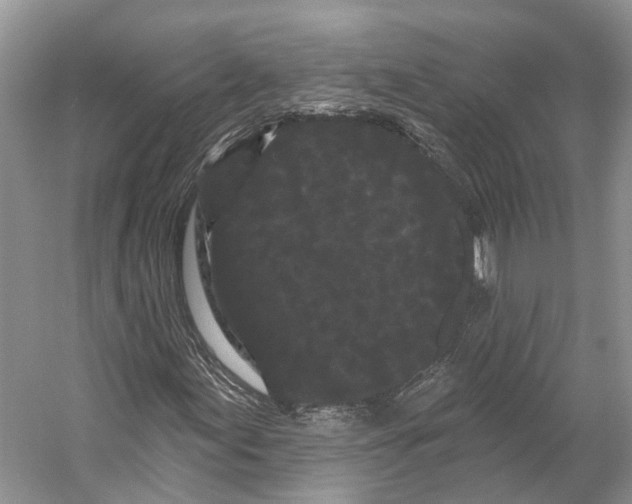 X0000053141155200508081337