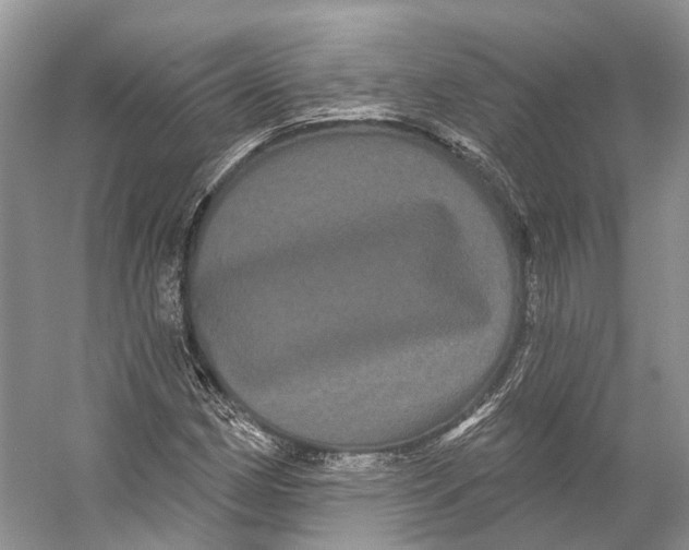 X0000053141162200508081337