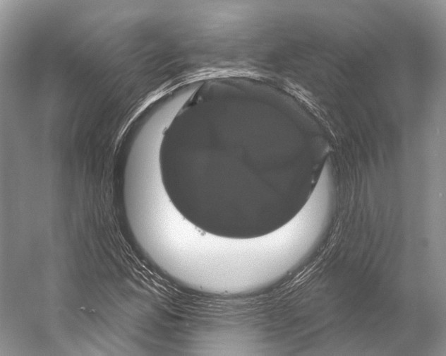 X0000053141165200508081337