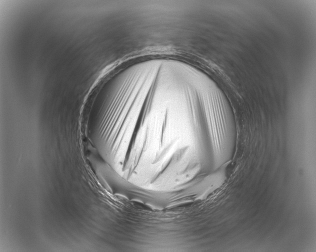 X0000053141168200508081336