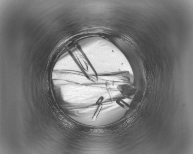 X0000053141172200508081336