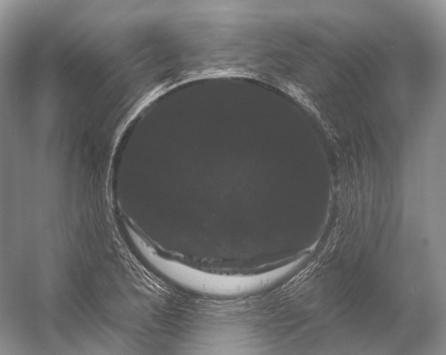 X0000053141173200508081336
