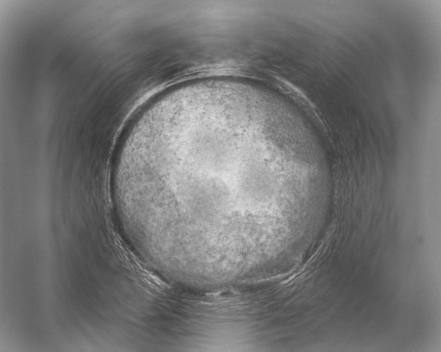 X0000053141174200508081336