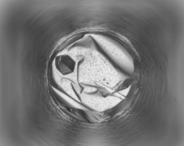 X0000053141176200508081336