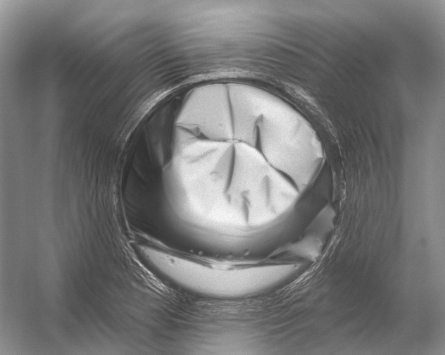 X0000053141177200508081336