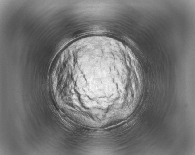 X0000053141178200508081336